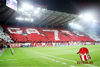 La curva
                  del Gate 7 Olympiacos