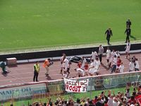 Taddei piace
