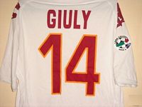 La maglia
                  indossata da Giuly nella partita