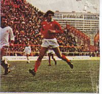 1980/81
                  Perugia/Roma