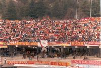 1983/84
                Ascoli/Roma