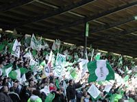 Il tifo dell'Hammarby Stoccolma, il loro gruppo si chiama Bara Bajare, notare la bandiera di TDR