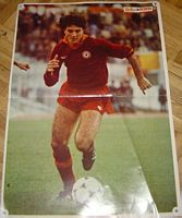 Poster di
                  Roberto Scarnecchia del 1980/81 uscito su Giallorossi